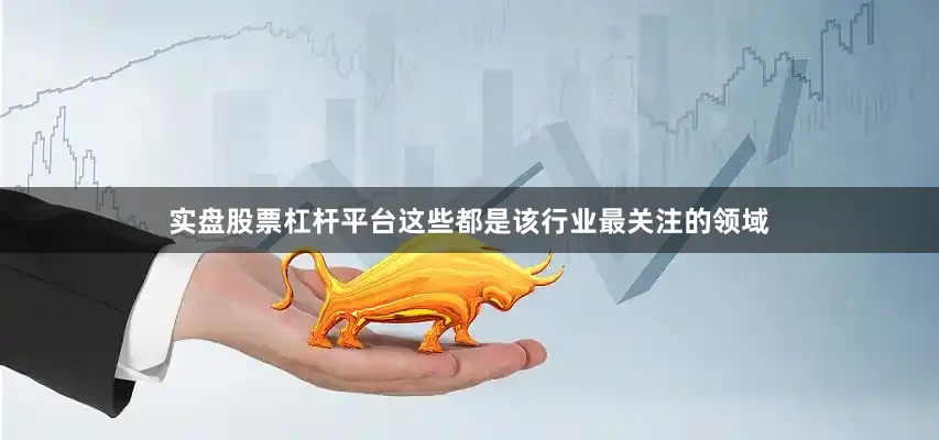 实盘股票杠杆平台这些都是该行业最关注的领域
