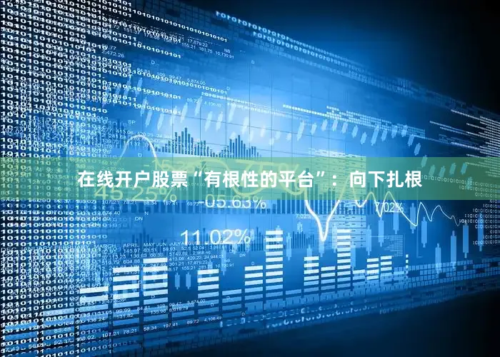 在线开户股票“有根性的平台”：向下扎根